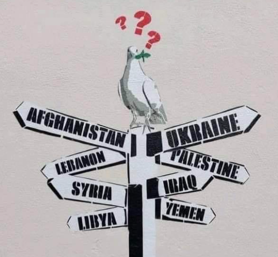 Where have all the flowers gone …