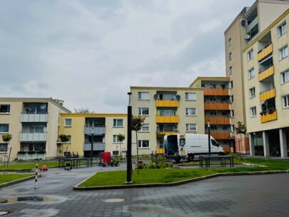 Falken im Regen
