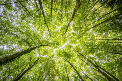 OWL: Klimaschutztag 17.05.25